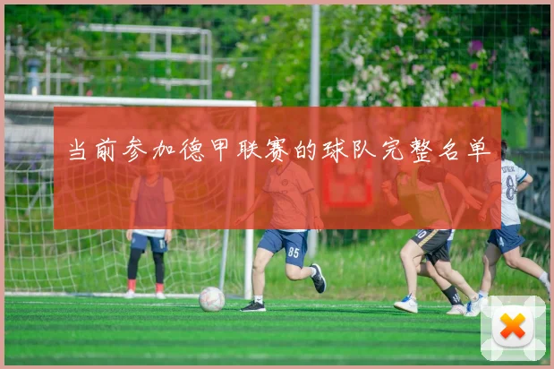 当前参加德甲联赛的球队完整名单