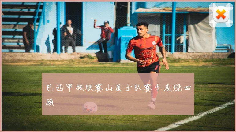 巴西甲级联赛山度士队赛季表现回顾