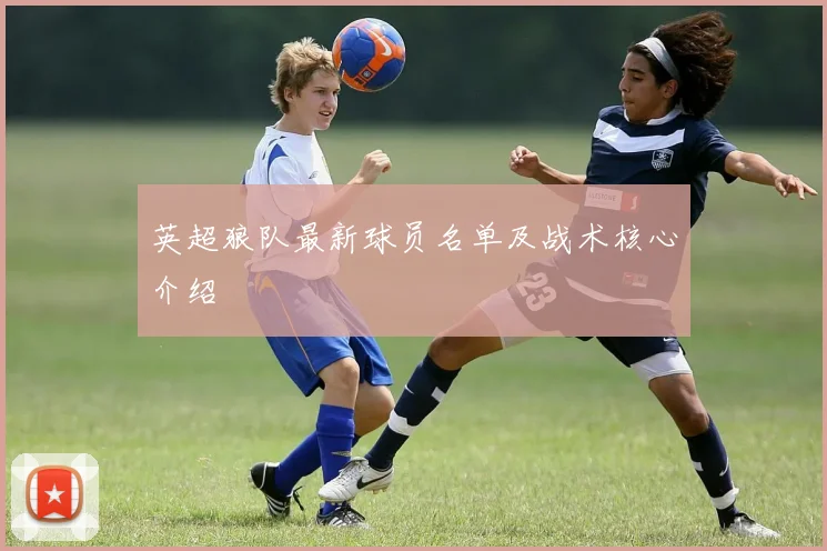 英超狼队最新球员名单及战术核心介绍