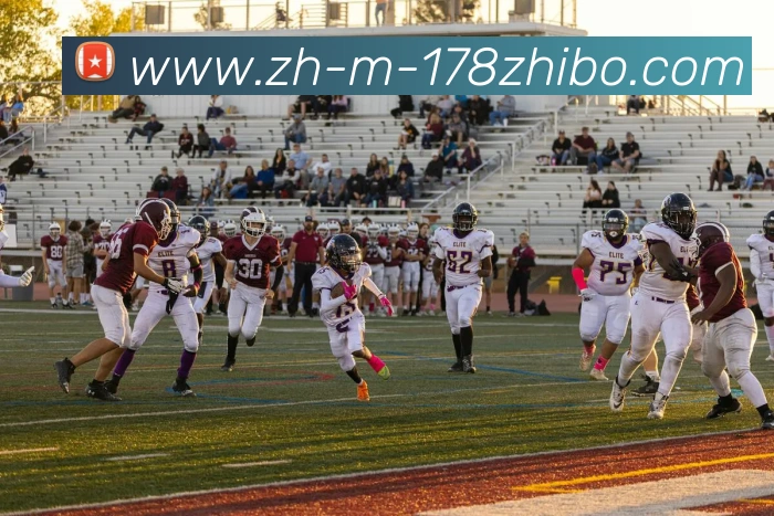 178体育直播平台生态图