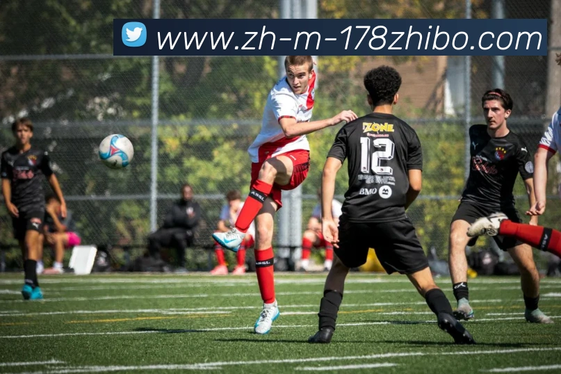 辅助工具 辅助工具